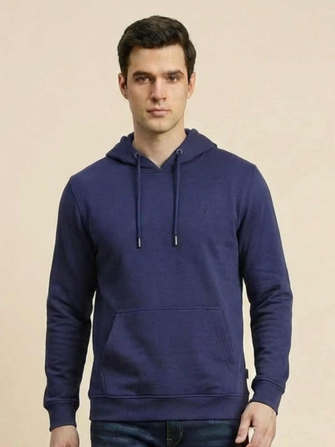 Van Heusen Man Hoodie Violet